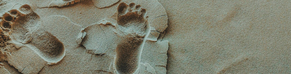 dobry podolog warszawa